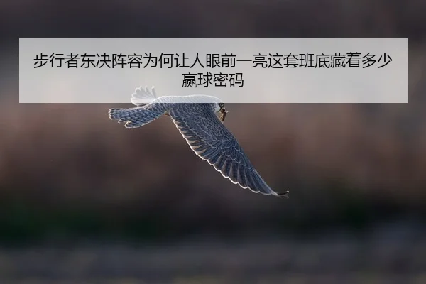 bu-xing-zhe-dong-jue-zhen-rong-wei-he-rang-ren-yan-qian-yi-liang-zhe-tao-ban-di-cang-zhe-duo-shao-ying-qiu-mi-ma-2-969.jpg